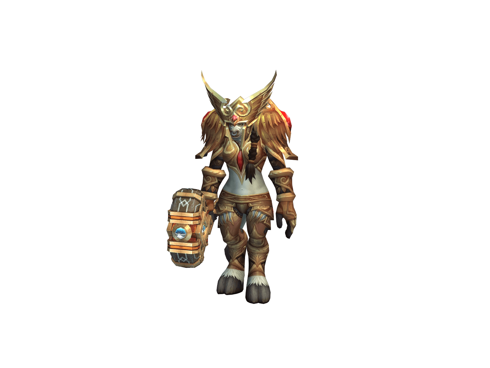 Toraa, Paladin